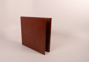 Tri-plex holder contains 3-board print 8”x8” Portraits